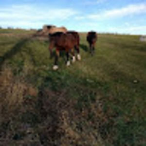 Meet your Posher, Kay